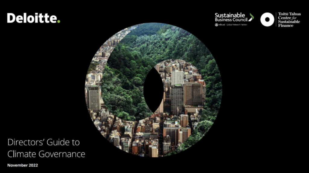 Directors’ Guide to Climate Governance